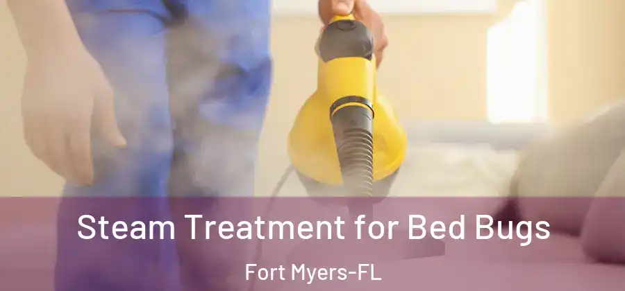  Steam Treatment for Bed Bugs Fort Myers-FL