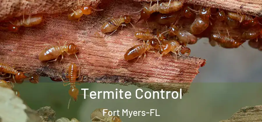  Termite Control Fort Myers-FL