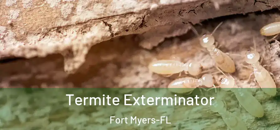  Termite Exterminator Fort Myers-FL