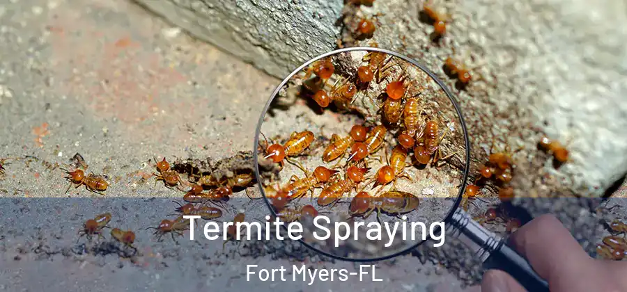 Termite Spraying Fort Myers-FL