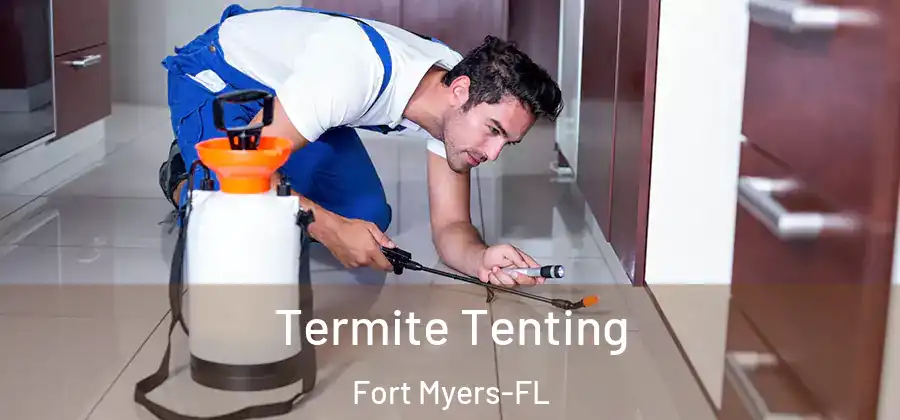  Termite Tenting Fort Myers-FL