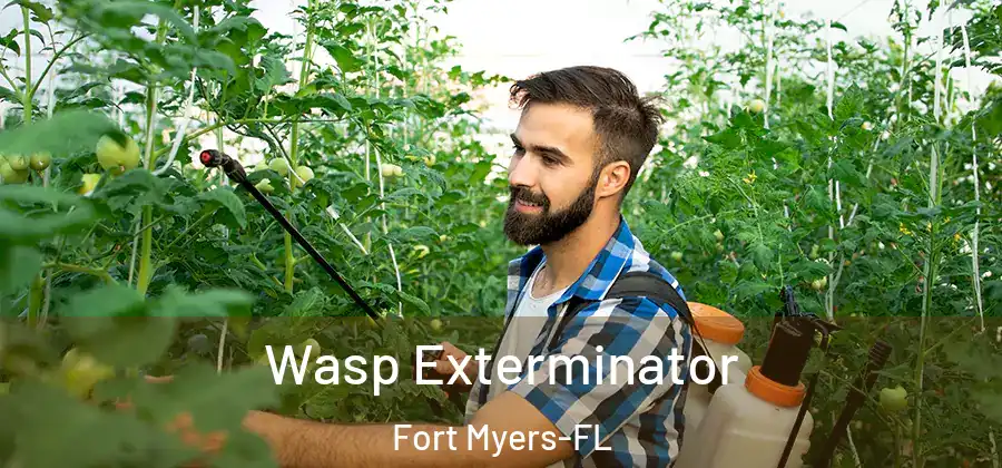  Wasp Exterminator Fort Myers-FL