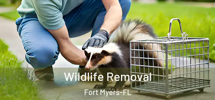  Wildlife Removal Fort Myers-FL