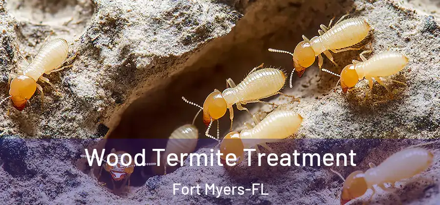  Wood Termite Treatment Fort Myers-FL