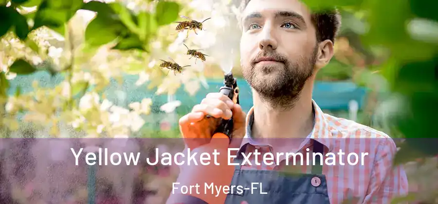 Yellow Jacket Exterminator Fort Myers-FL