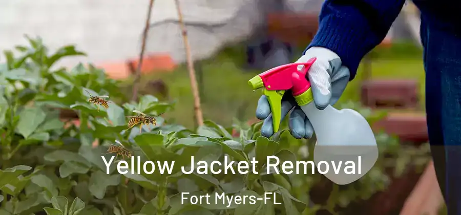  Yellow Jacket Removal Fort Myers-FL